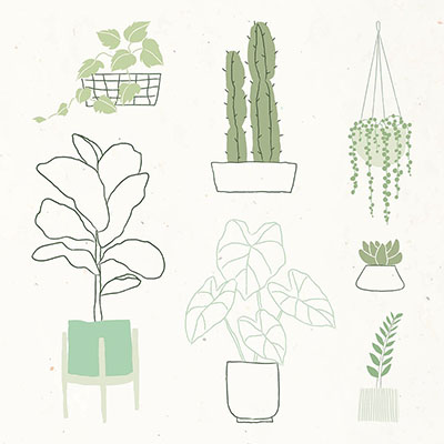 Plant Collage